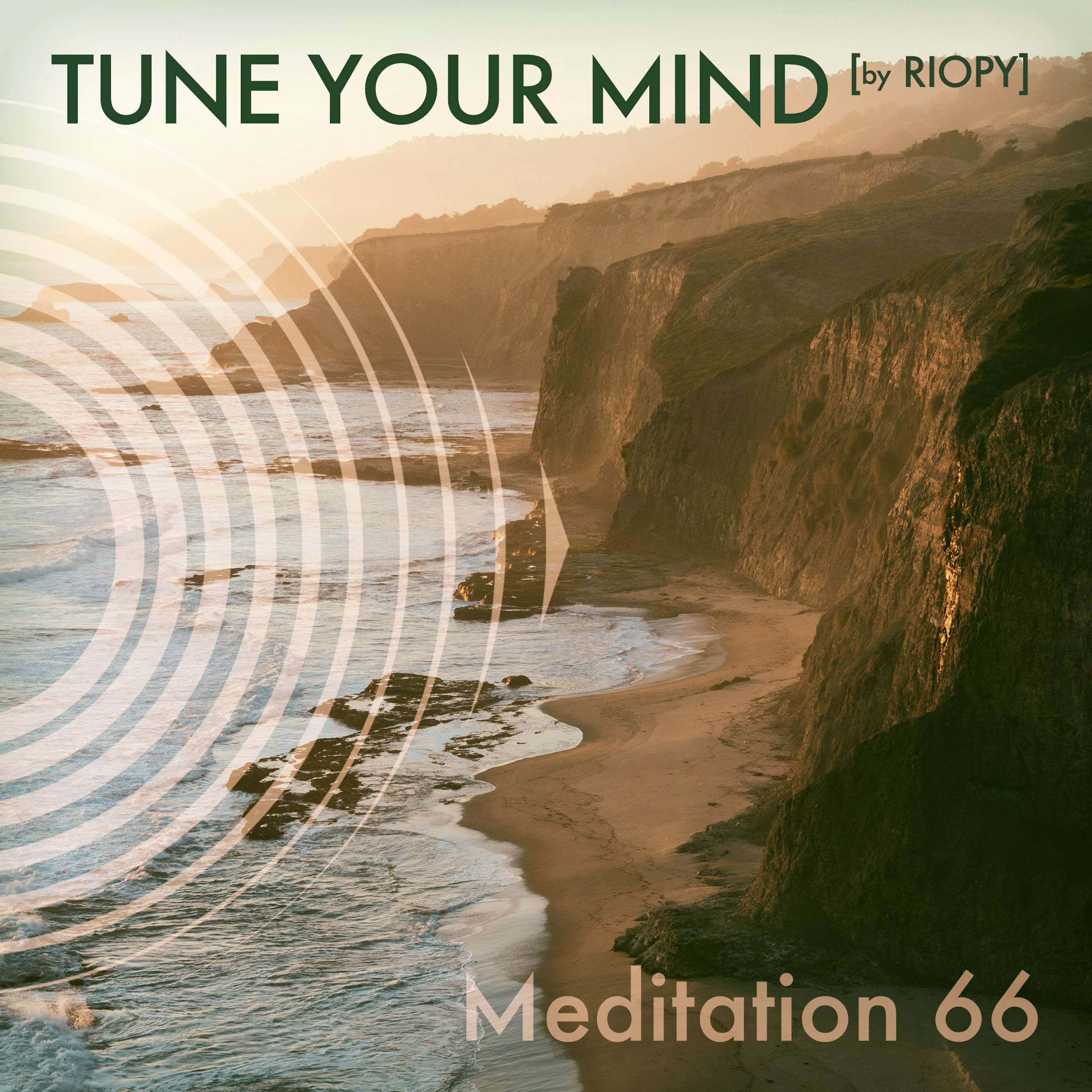 MEDITATION 66